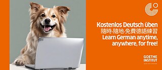 Practice German for free